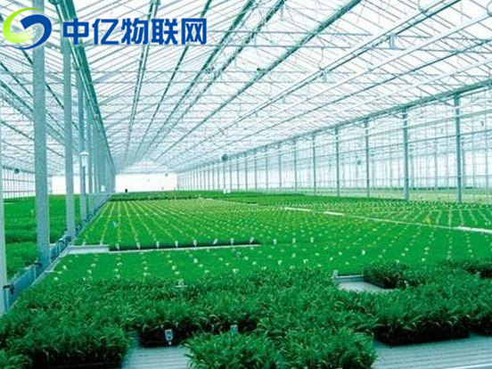 温湿度传感器用于智能农业的监测中 温湿度传感器用于智能农业的监测中