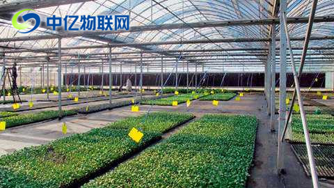 物联卡智慧农业提高农业生产效率