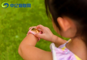 11位物联网语音卡在哪里可以办理？和13位有什么区别？